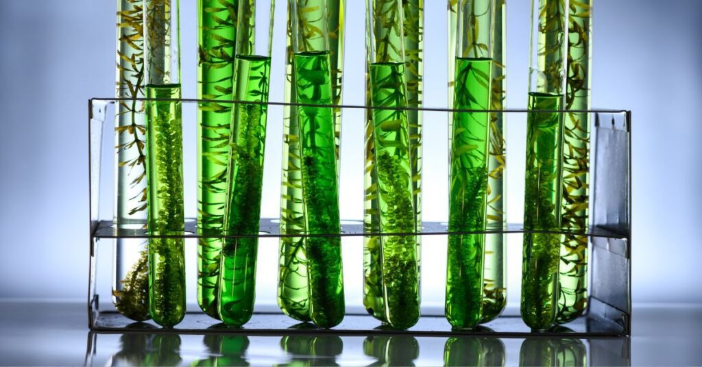 Biotech Product Identification Biotech Product Identification